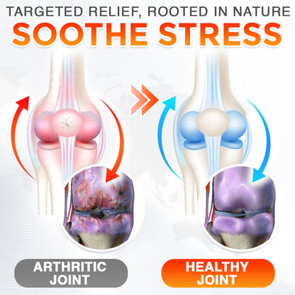 Offical Store🇺🇸 CareBreeze® Bee Venom Professional Care Gel